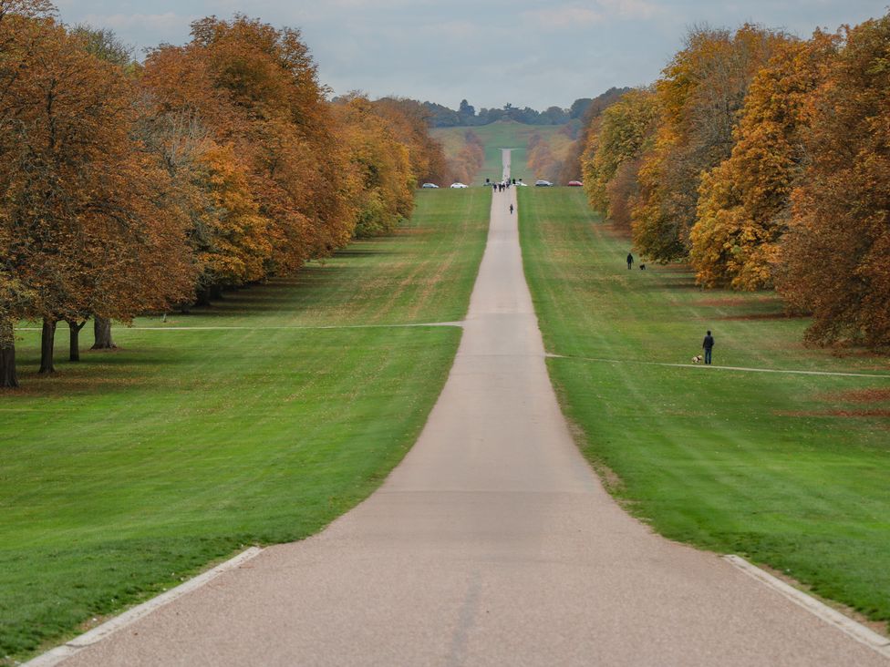 A road lined with trees and people walking at Castle View in Windsor, Berkshire