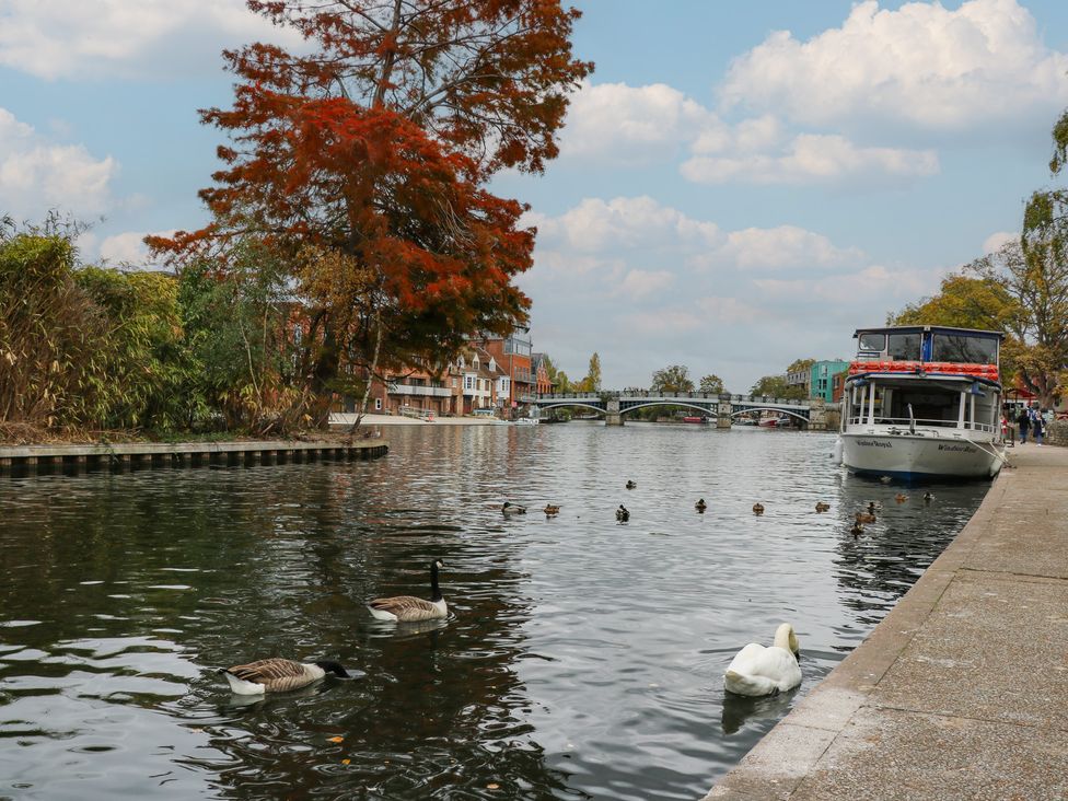 A river with a boat and birds at Castle View in Windsor, Berkshire