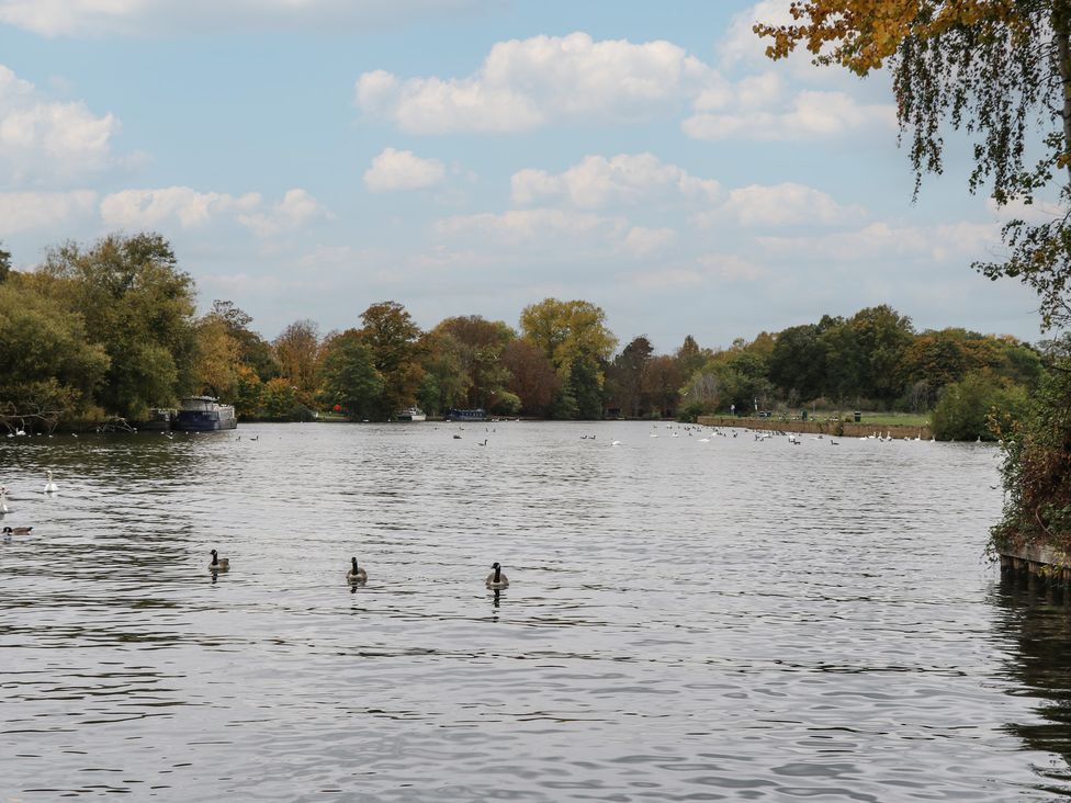 A river with ducks and swans surrounded by trees at Castle View, Windsor, Berkshire