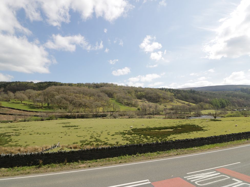 A field with sheep and trees at Ysgoldy in Dolwyddelan