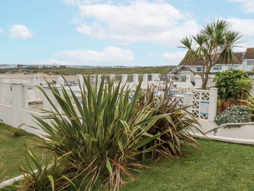 A garden with plants and a view of a pool at Surf View in Newquay