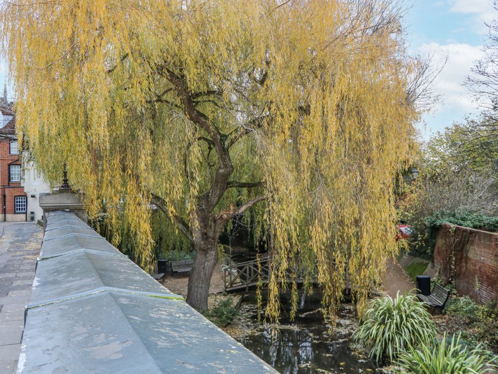 A willow tree over water with a pathway and a bench at The Old School House in Windsor