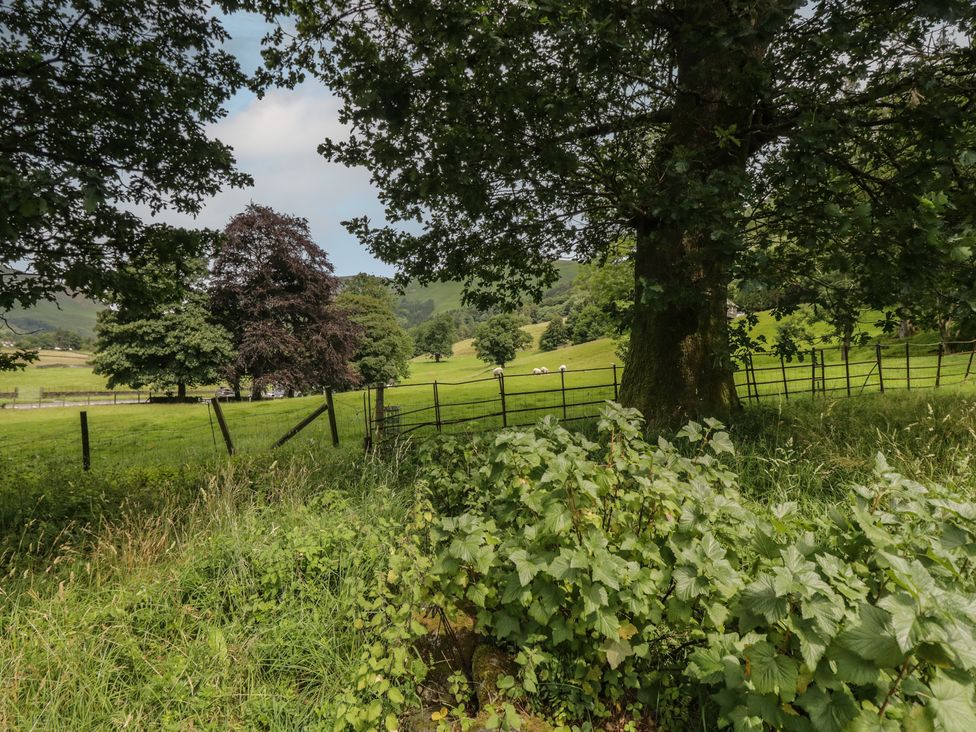 A view of trees and a field at Two Hollens in Grasmere