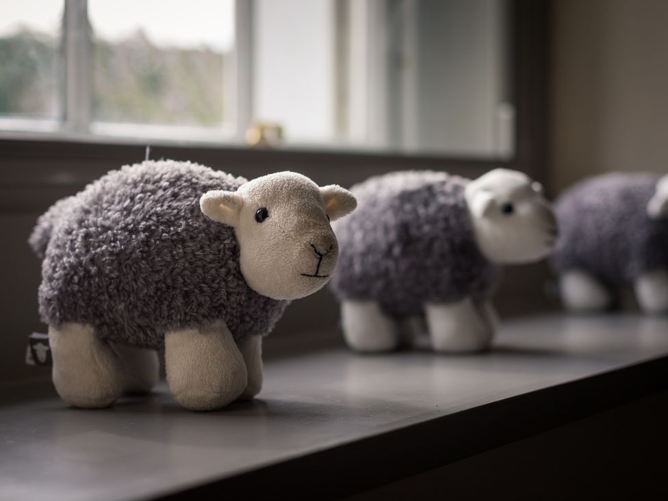 A row of stuffed sheep on a window sill at Souterstead in Torver near Coniston