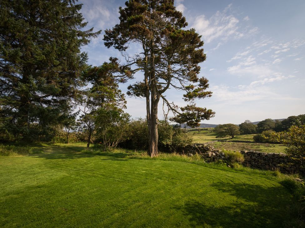 A garden with a tree and grass at Souterstead in Torver near Coniston