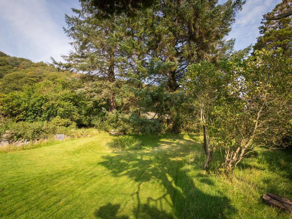 A garden with grass and trees at Souterstead Torver near Coniston