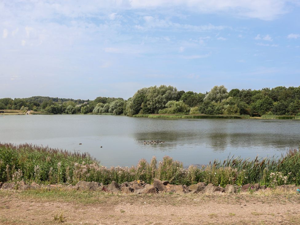 A lake surrounded by trees and plants at 29 Ernest Dawes Avenue Priorslee near Telford