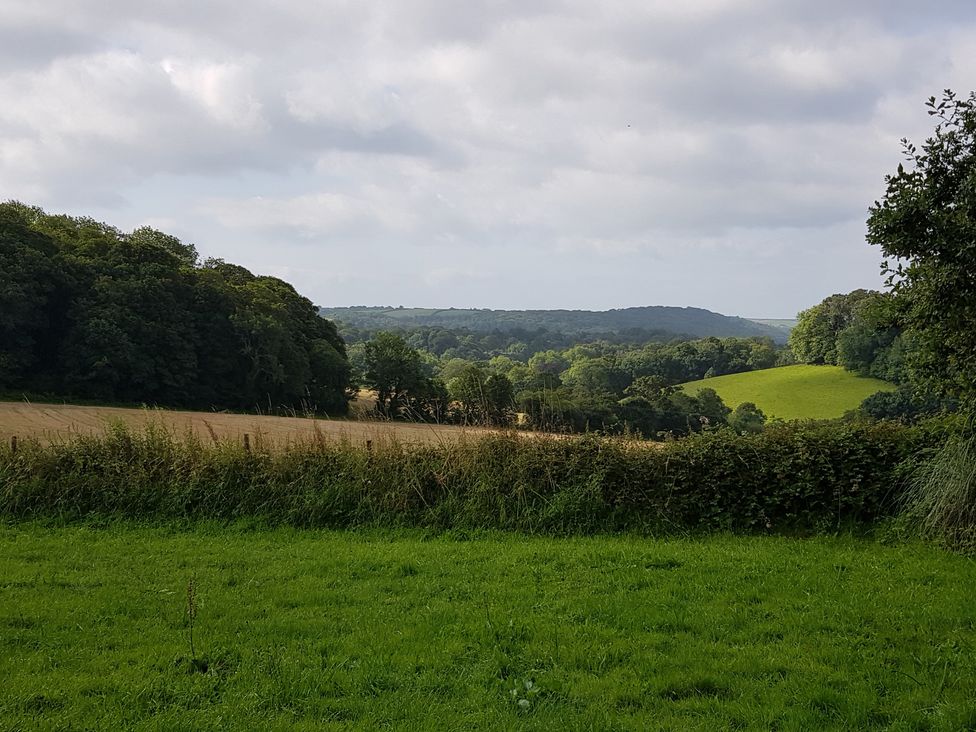 A view of fields and trees at Tapps Lodge in Brixton near Yealmpton, South Devon