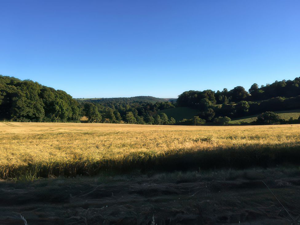 A field with trees and hills under a blue sky at Tapps Lodge in Brixton near Yealmpton, South Devon