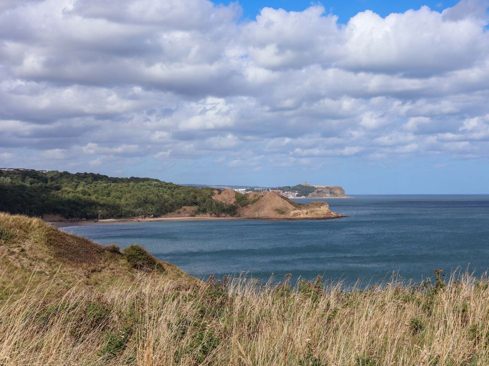 A coastal view with hills and water at Floraville