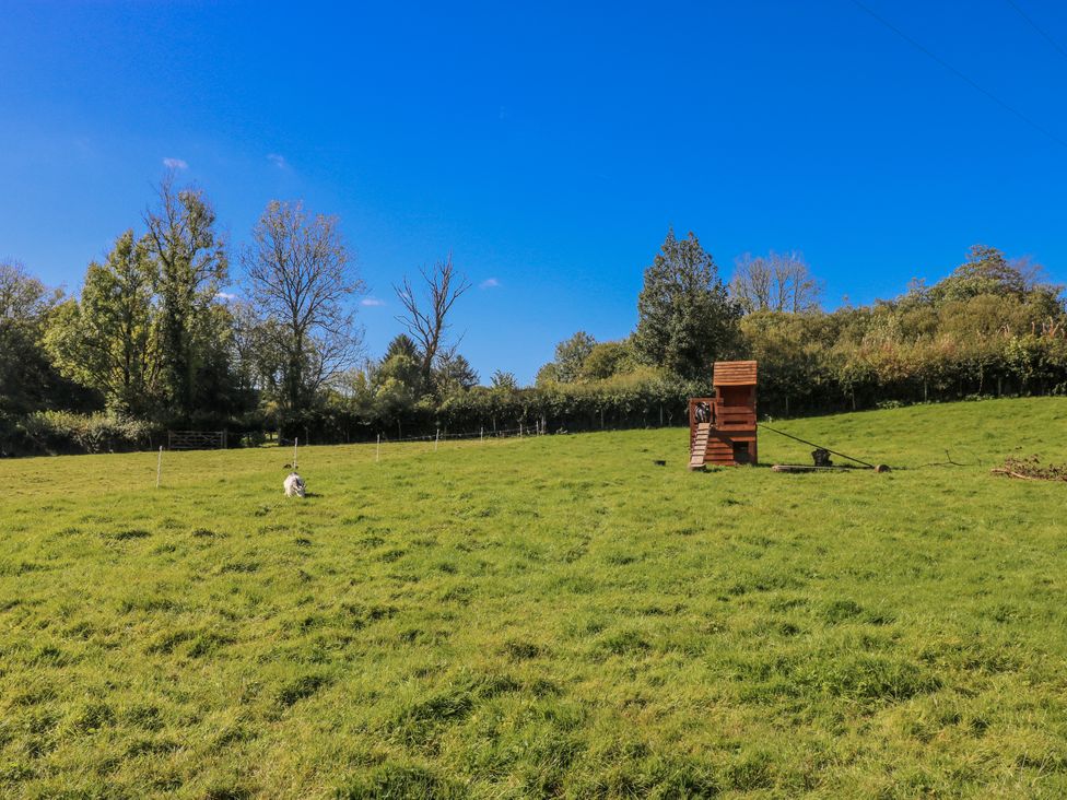An outdoor area with a dog and a wooden structure at Dwrgi in Llanybydder