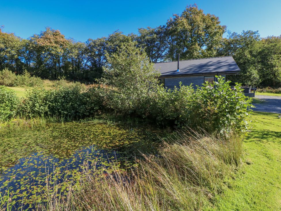 A cabin near a pond and trees at Dwrgi in Llanybydder