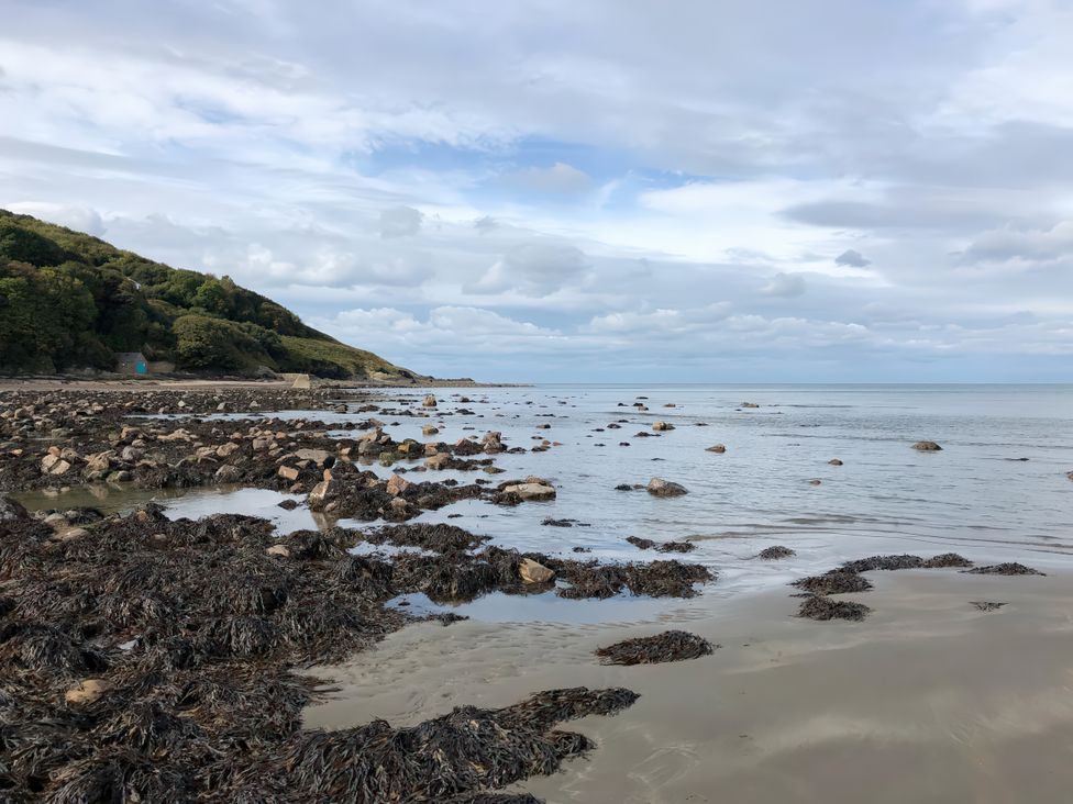 A view of the beach with rocks and seaweed at Penally Mews in St Dogmaels