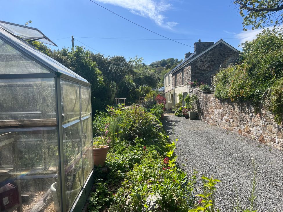 A garden with a greenhouse and gravel path at Penally Mews in St Dogmaels
