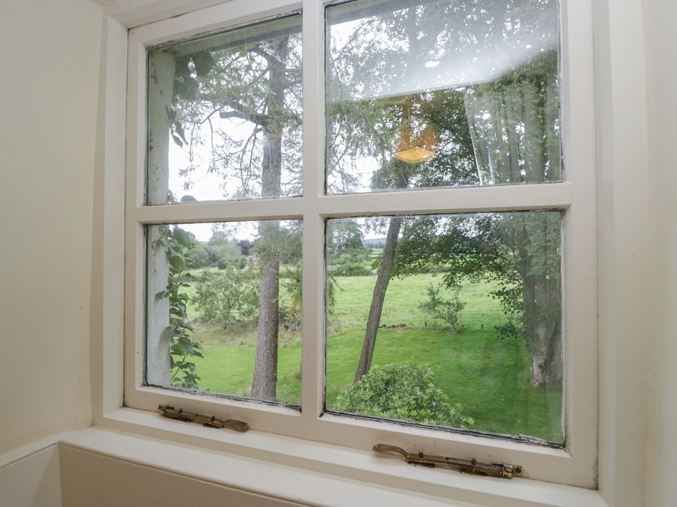 A window with a view of trees and grass at The Old Kitchen in Cartmel