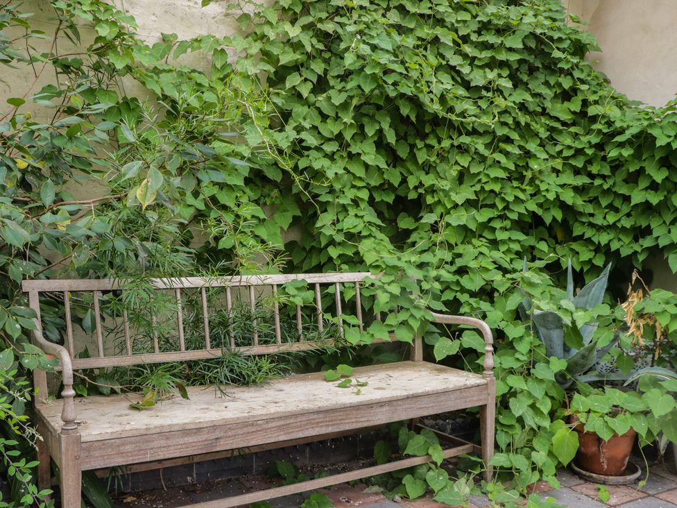 A bench surrounded by green plants at Huntsman's Cottage in Cartmel