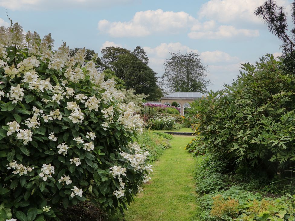 A garden with white flowers and a path leading to a building at The Laundrymaid's Cottage in Cartmel
