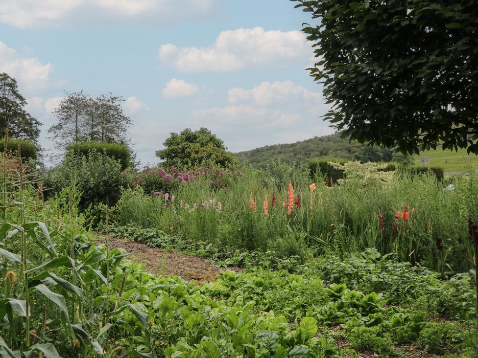 A garden with various plants and flowers at The Laundrymaid's Cottage in Cartmel