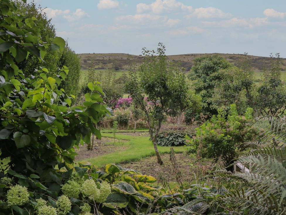A garden with plants and trees at The Laundrymaid's Cottage in Cartmel