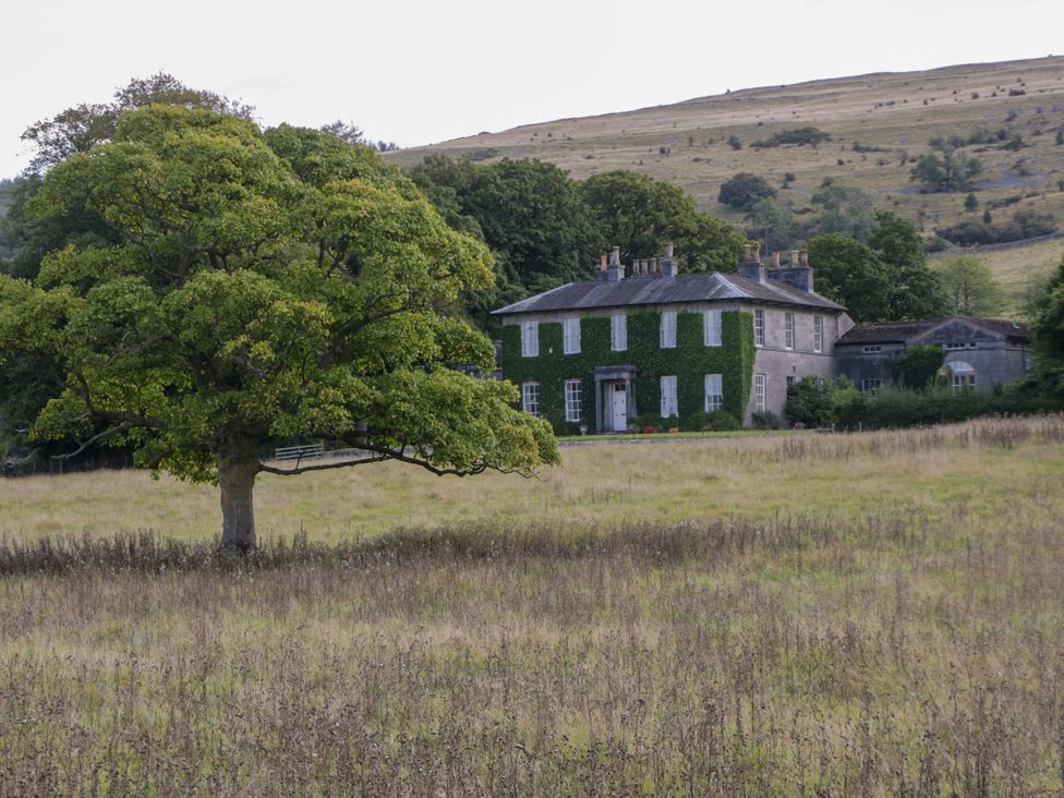 A house with a tree in front and a field at The Laundrymaid's Cottage in Cartmel