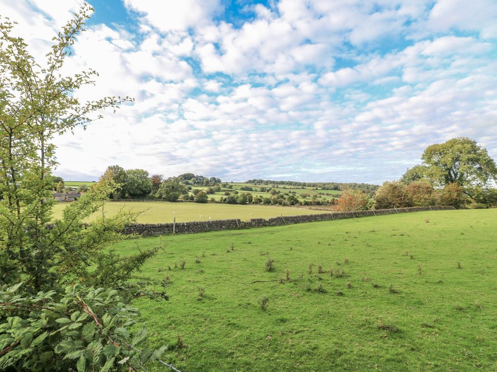 A view of a field with trees and a stone wall at 5 Belper Lane End Belper