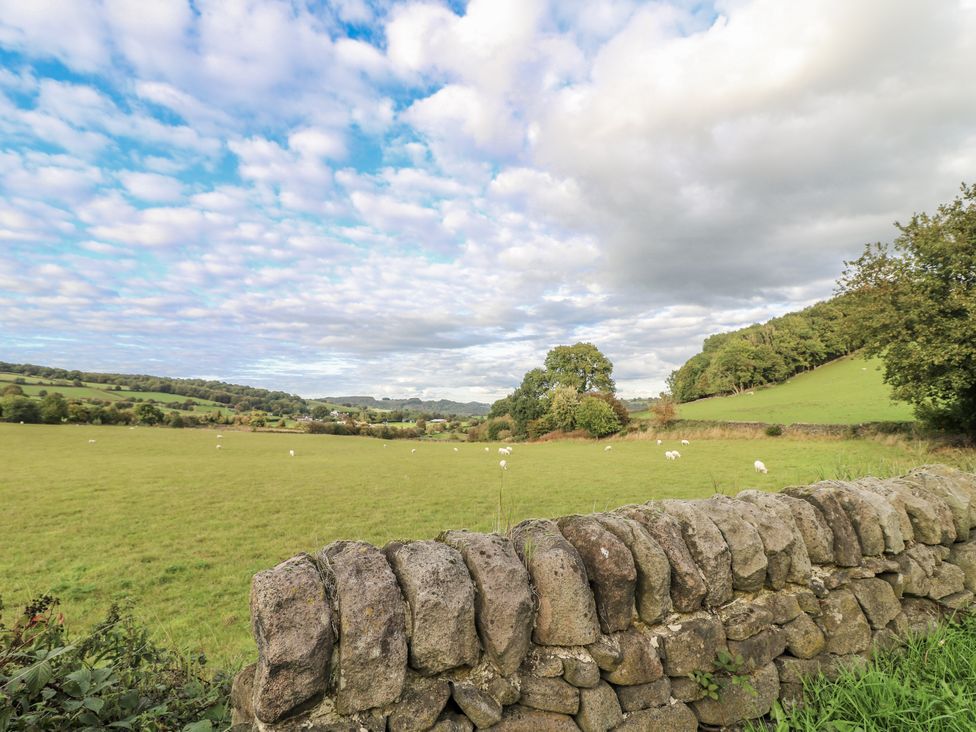 A field with a stone wall and trees at 5 Belper Lane End in Belper