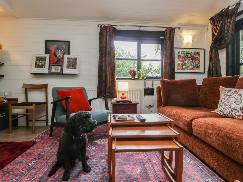 A living room with a dog sitting on the floor at Moon Cottage in White Cross Bay Holiday Park near Troutbeck Bridge