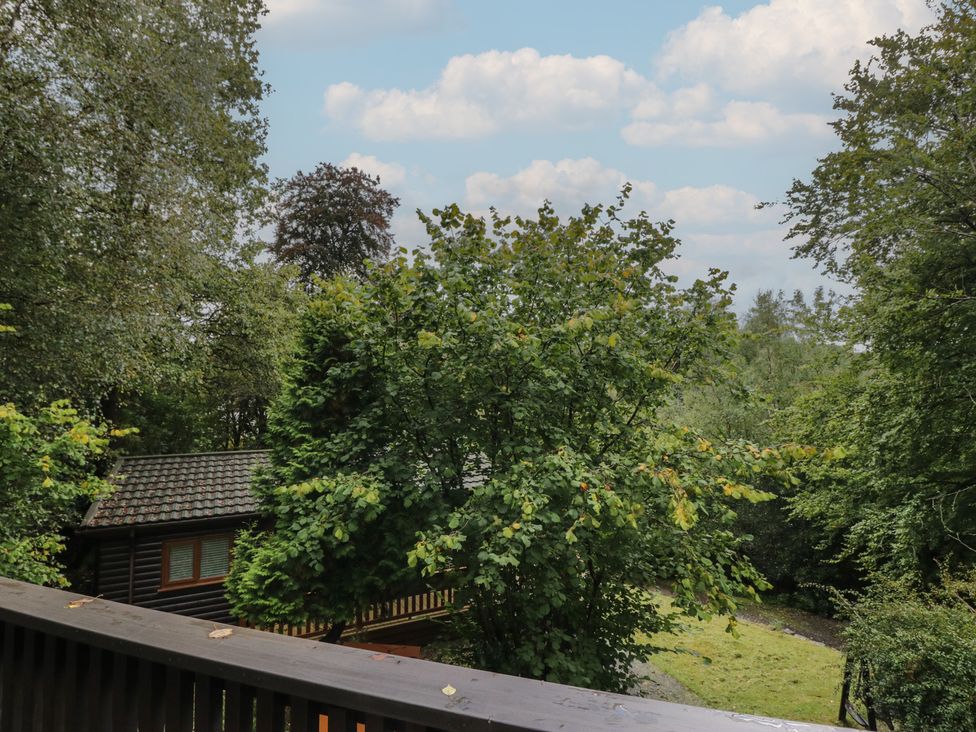 A view of trees and a building at Moon Cottage White Cross Bay Holiday Park near Troutbeck Bridge