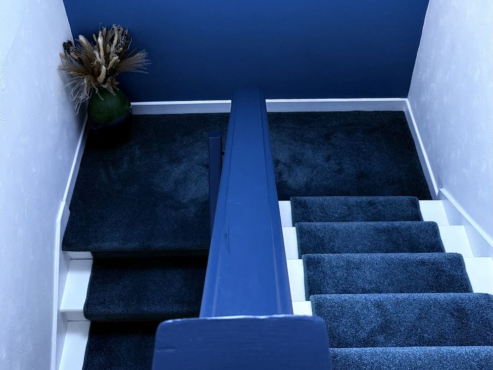 A staircase with a plant and blue walls at Portknockie Cottage in Buckie