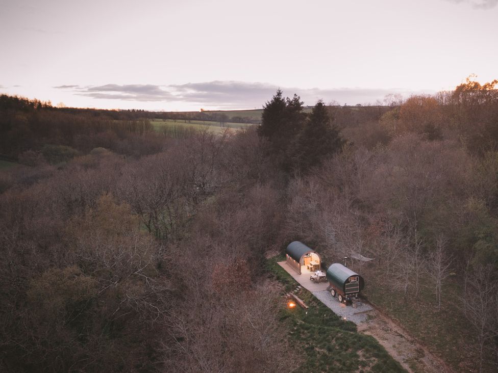 A cabin set in a forest with a gravel road and fire pit at Goldfinch in Launceston