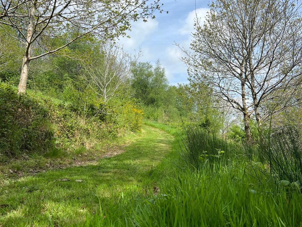 A pathway surrounded by grass and trees at Goldfinch in Panson Mill near Ashwater