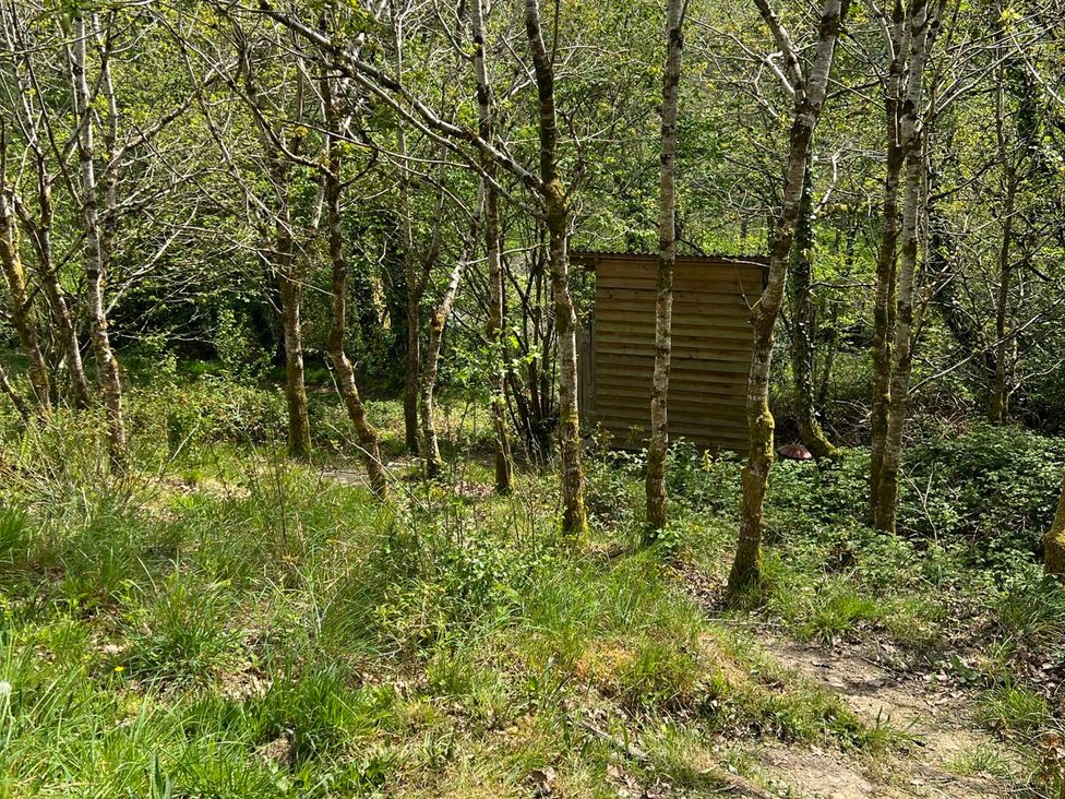 A wooded area with a wooden structure surrounded by trees at Goldfinch in Panson Mill near Ashwater