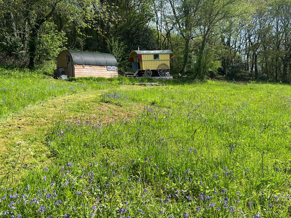 A caravan and wooden structure in a grassy area with bluebells at Prudence in Launceston