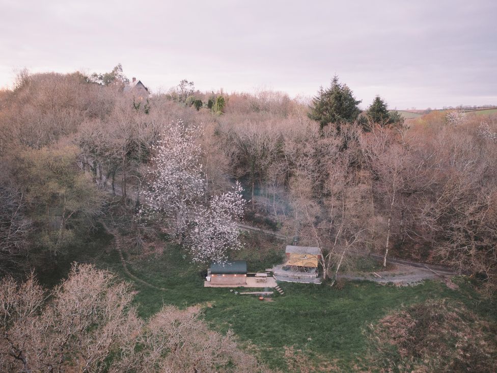 An outdoor scene with a deck and blooming tree at Prudence in Launceston