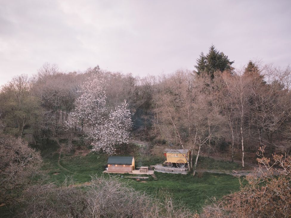 A shepherd's hut and tree in a natural setting at Prudence Launceston