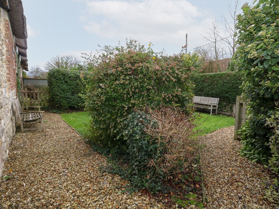 A garden with hedges and benches at Bubbs Cottage