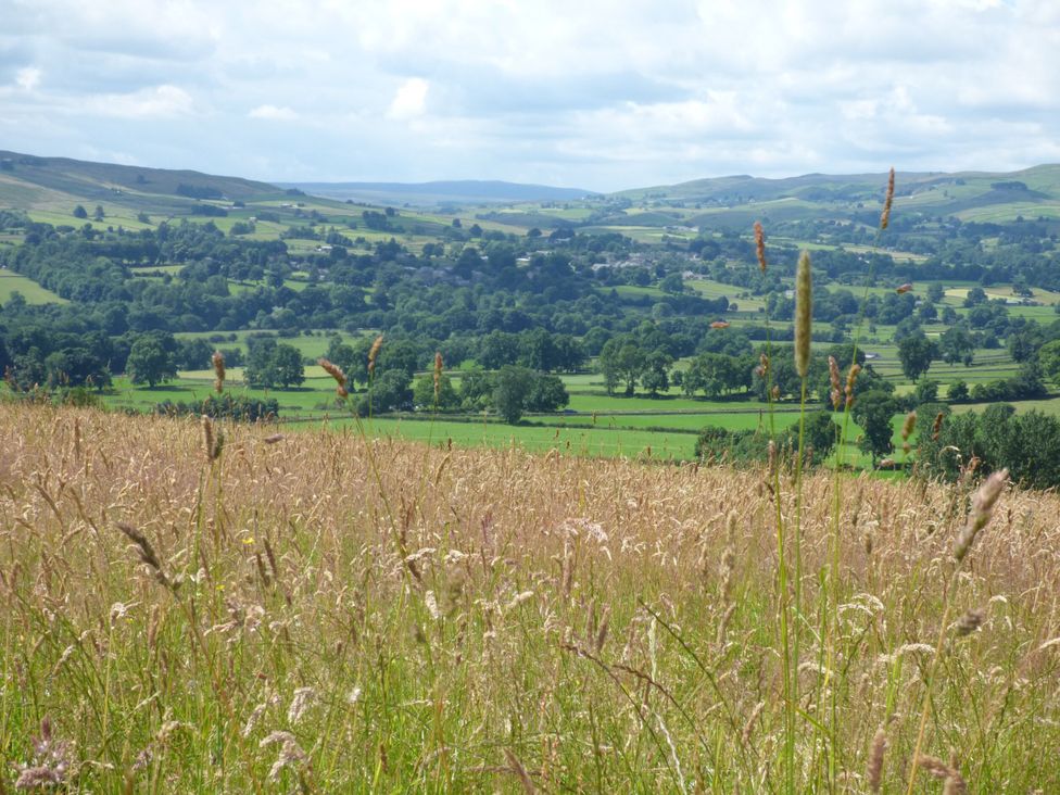 A field with tall grass and hills in the background at 1 Kyles Yard Barnard Castle