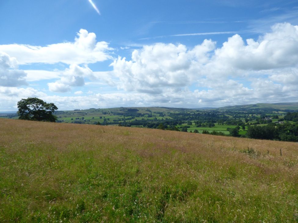 A grassy field with a tree and rolling hills at 1 Kyles Yard Barnard Castle