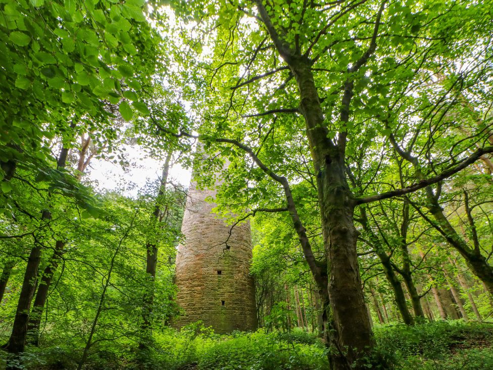A stone tower surrounded by trees in a forest at 1 Kyles Yard Barnard Castle