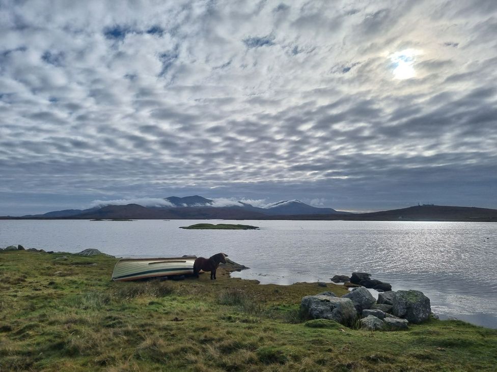 A boat and horse near water at Airigh nam Fiadh in Creagorry