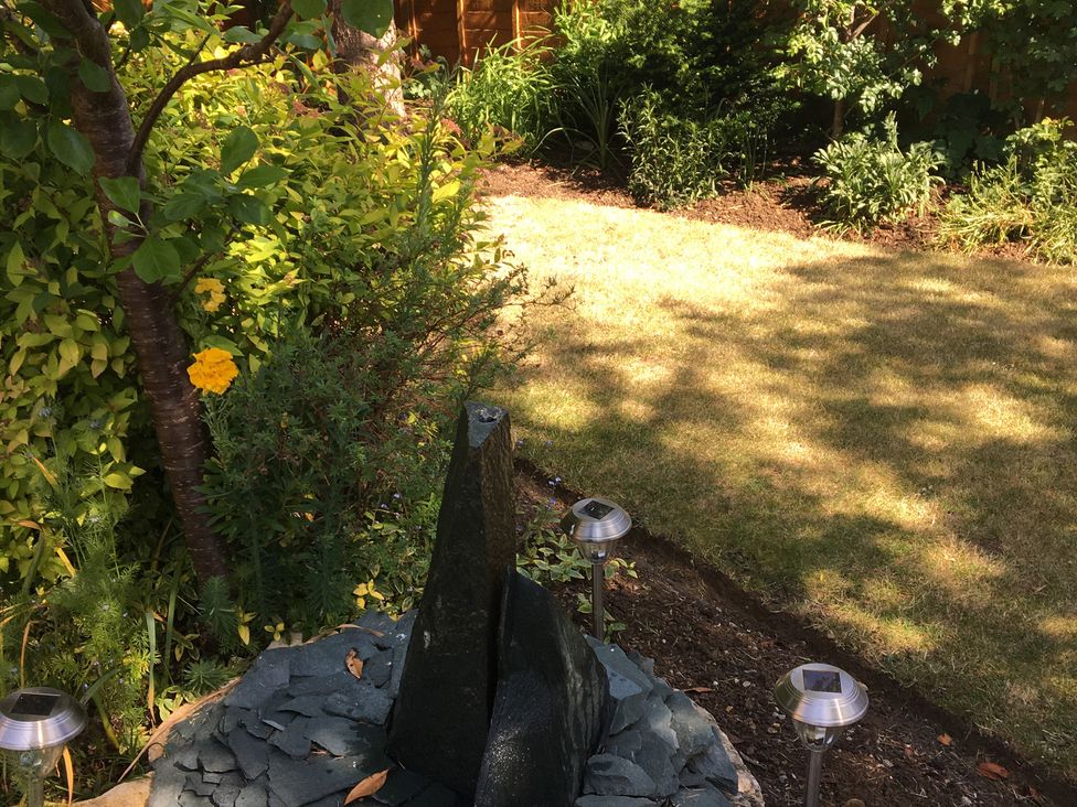 A garden with a tree, rock, and garden lighting at Evergreen in Broadway