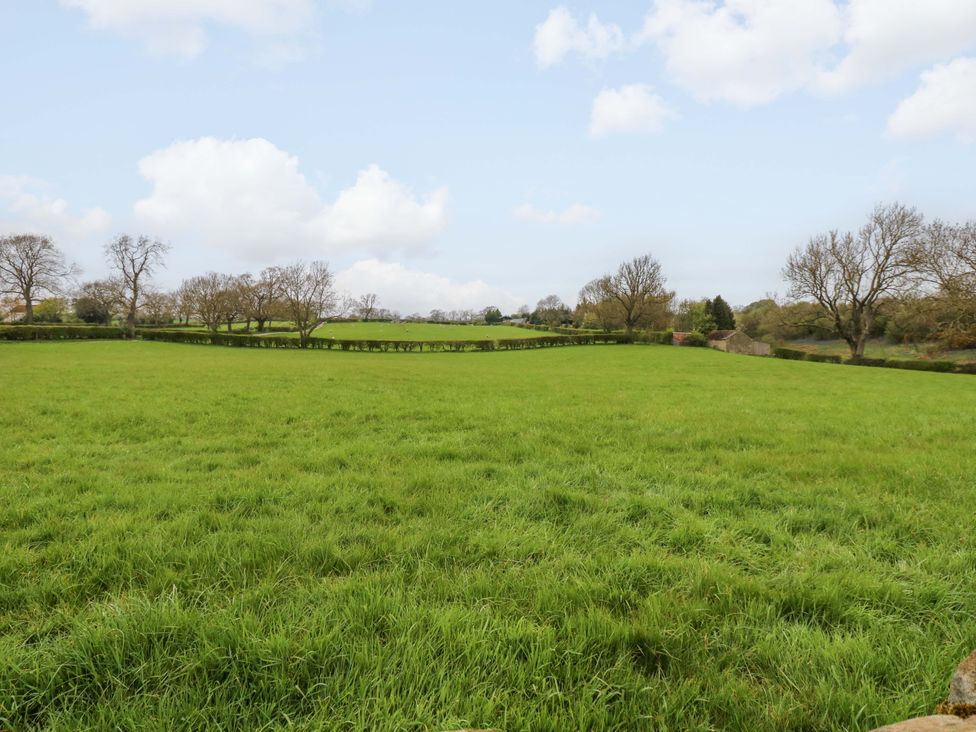 A green field with trees and a path at The Hay Barn in 
