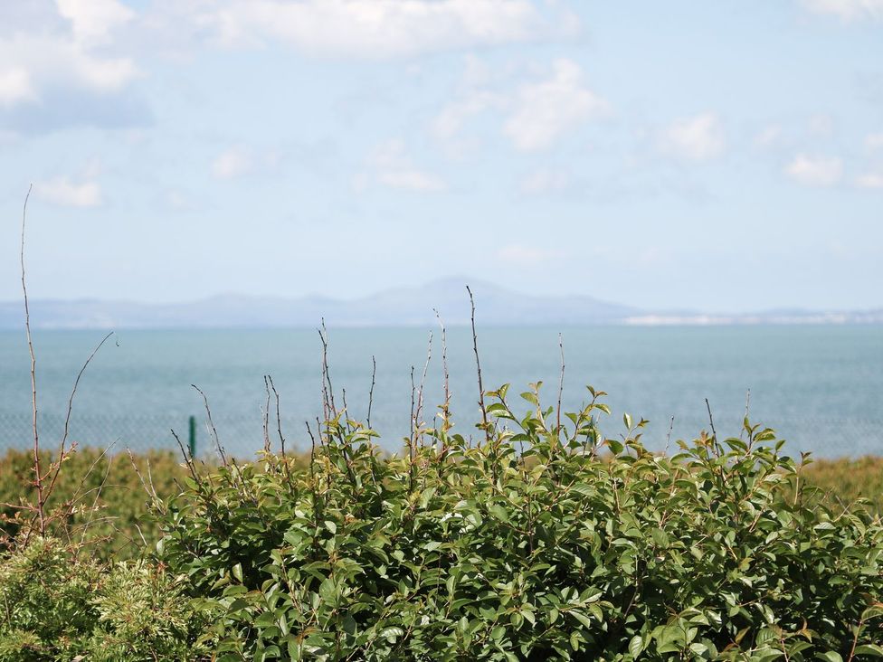A view of water and mountains with bushes in the foreground at Goetra