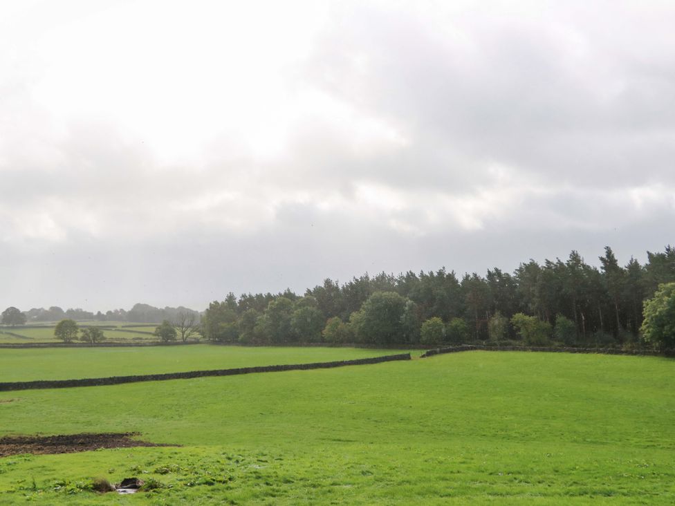 A field with trees and a stone wall at The Warren Barn in Kirkby Malzeard