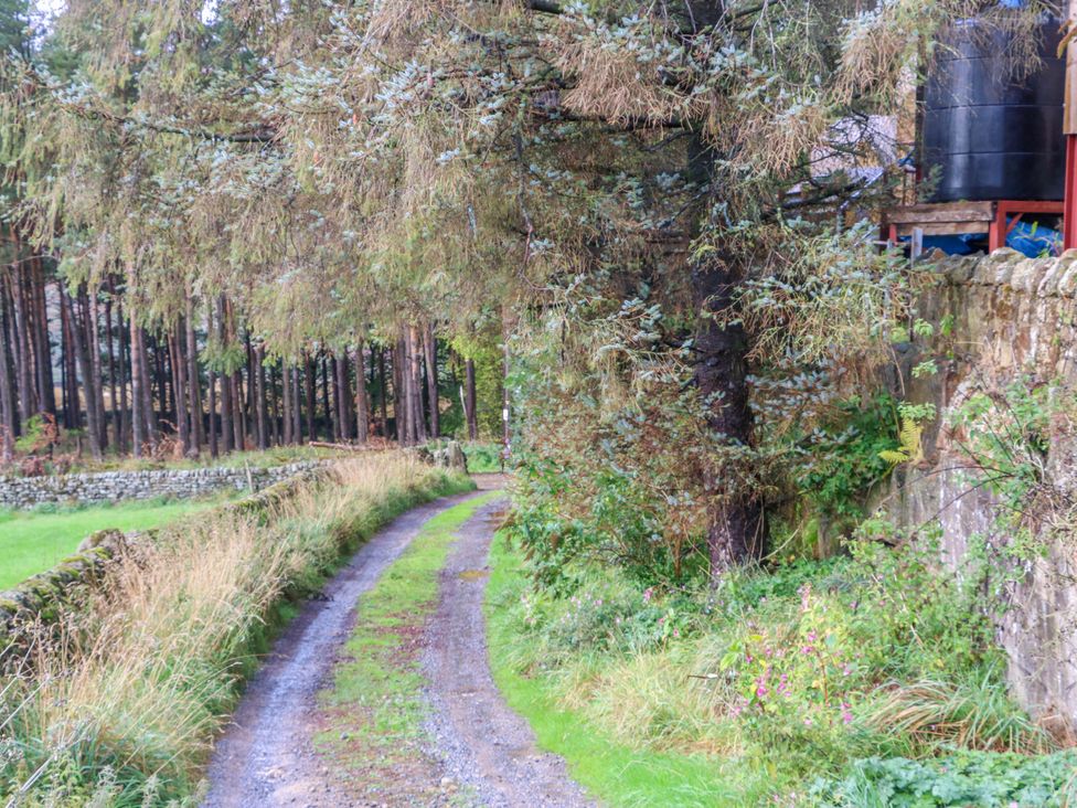 A dirt road with trees and a stone wall at The Warren Barn in Kirkby Malzeard
