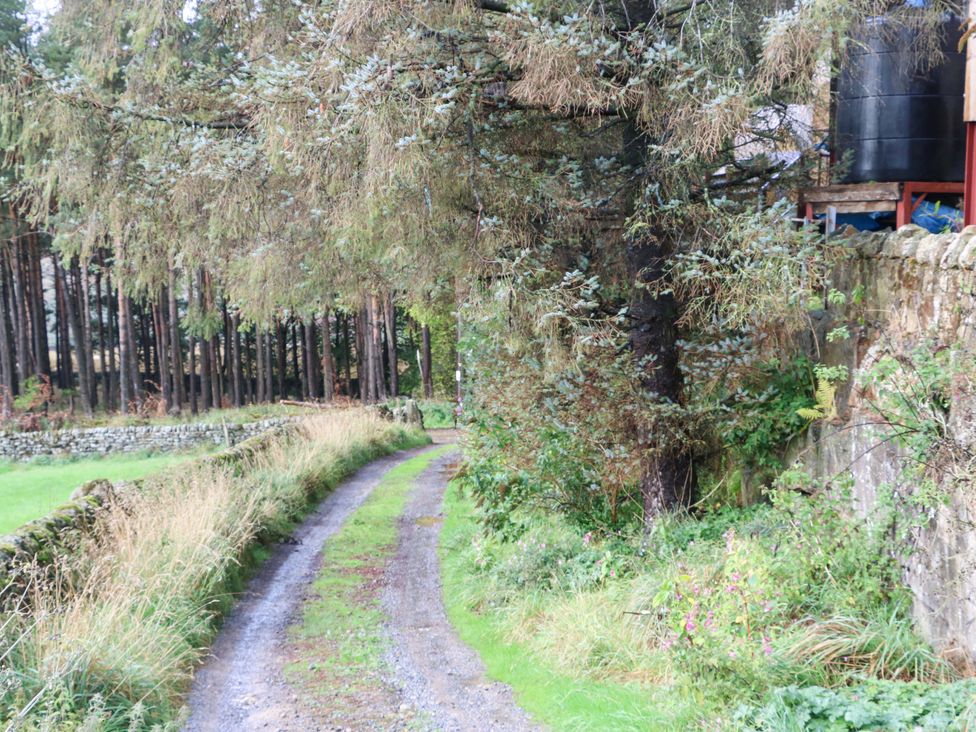 A path leading through trees at The Holt Barn Kirkby Malzeard