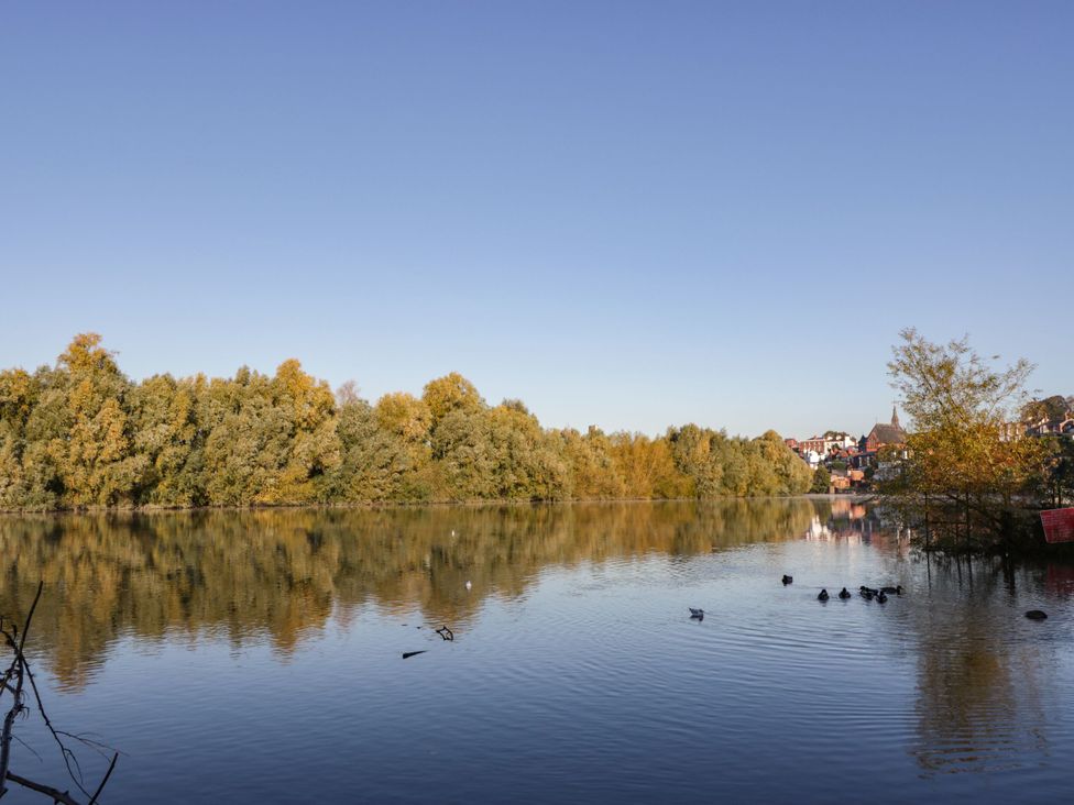 A lake surrounded by trees with birds on the water at Grosvenor Apartment in Chester