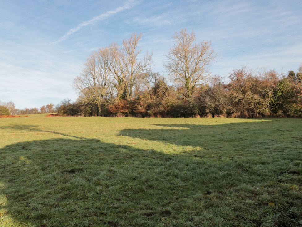 An open field with trees and shadows at Wellinghill Cottage at Wellinghill House Charlton Kings