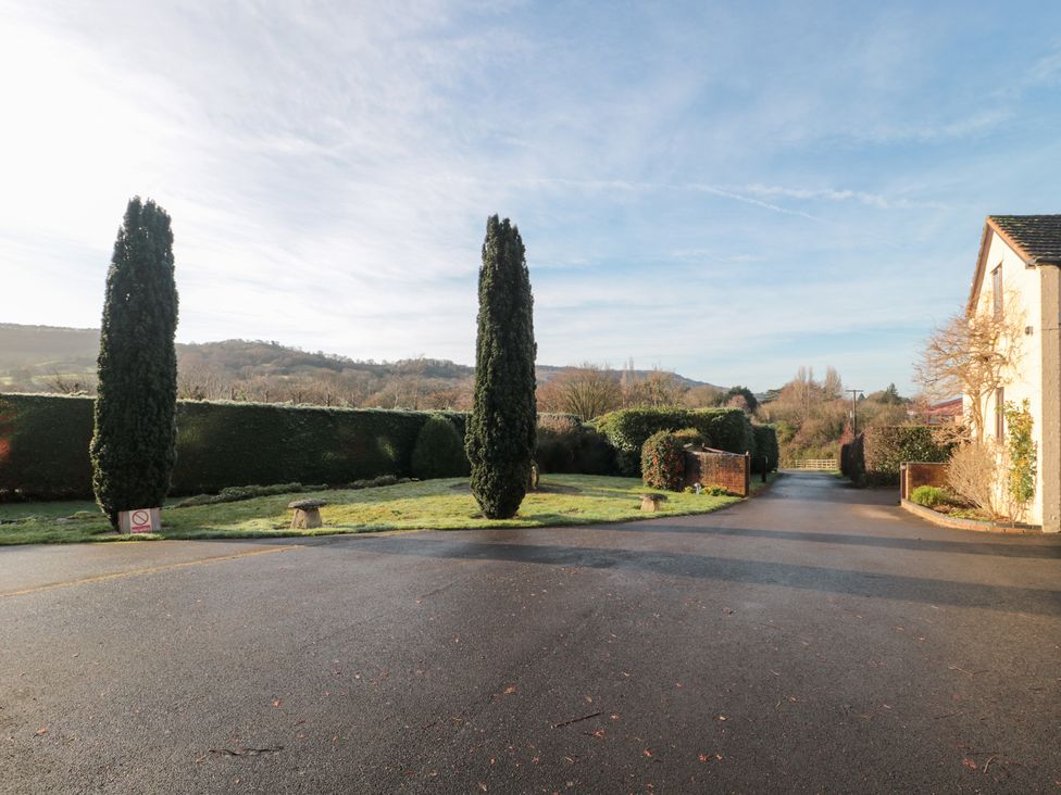 An outdoor scene with trees and a driveway at Wellinghill Cottage at Wellinghill House Charlton Kings