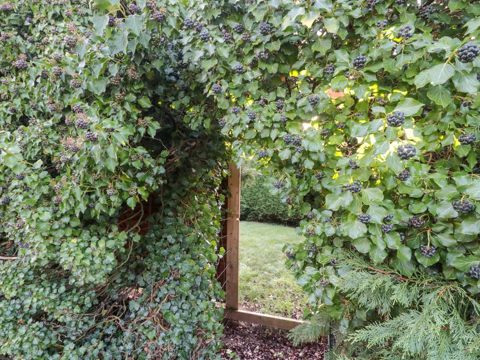 A view through a hedge with a wooden frame at Wellinghill Cottage at Wellinghill House Charlton Kings